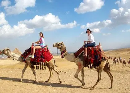 Camel Ride
